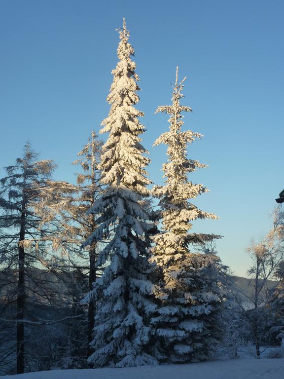 Der Loeffler Am Semmering Bed&Breakfast Exterior foto